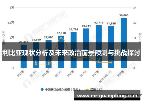利比亚现状分析及未来政治前景预测与挑战探讨
