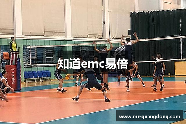 知道emc易倍
